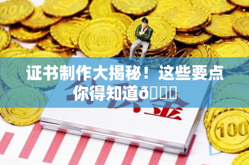 三元证书制作大揭秘！这些要点你得知道😎